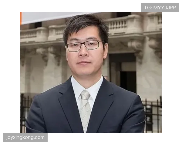 维尔茨数据含金量解析：高效表现还是数据泡沫？
