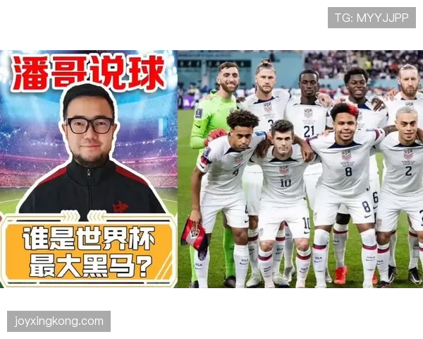 世界杯D组黑马球队热门话题盘点